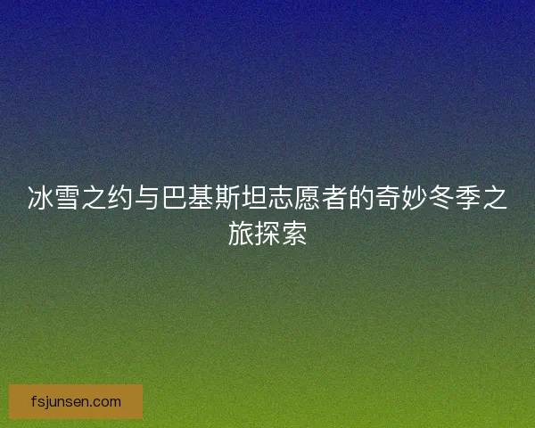冰雪之约与巴基斯坦志愿者的奇妙冬季之旅探索