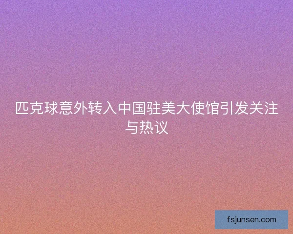 匹克球意外转入中国驻美大使馆引发关注与热议 匹克球意外转入中国驻美大使馆引发关注与热议