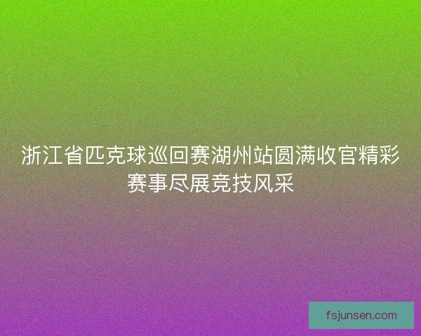 浙江省匹克球巡回赛湖州站圆满收官精彩赛事尽展竞技风采